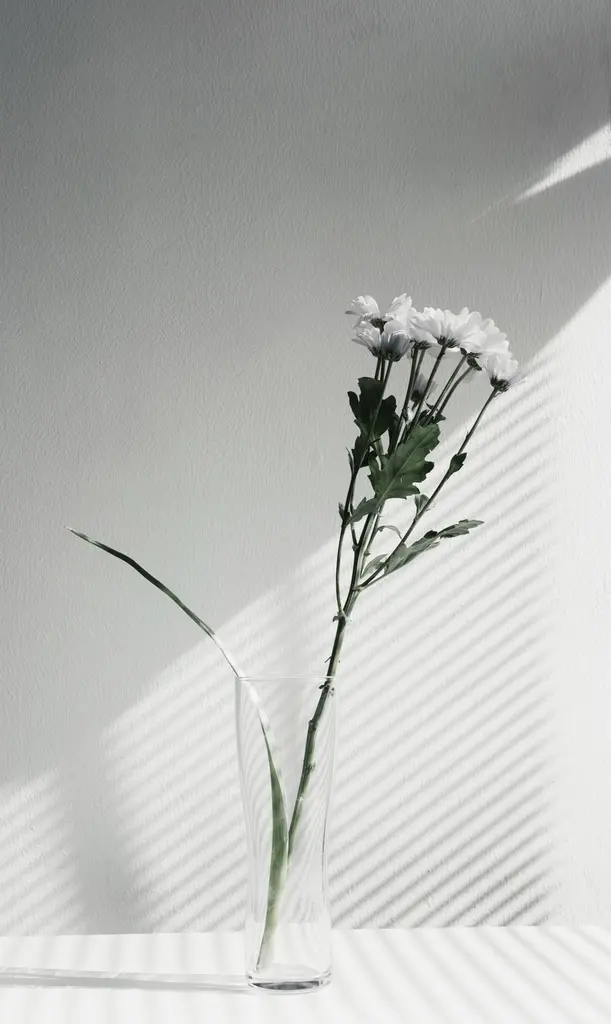 Un crisantemo blanco en un jarrón de cristal sobre una pared gris clara.