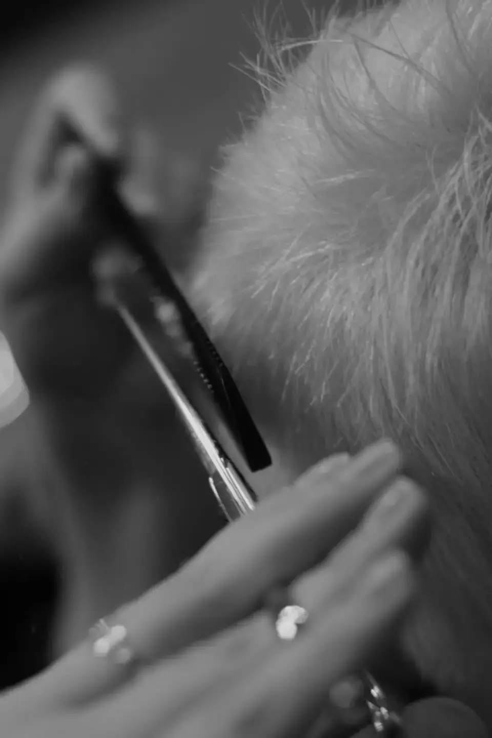Manos cortando con tijera y peine un mechón de pelo, en blanco y negro