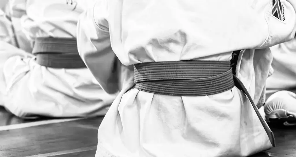 Niños de espaldas con kimono blanco y cinturón de color, sentados en el tatami
