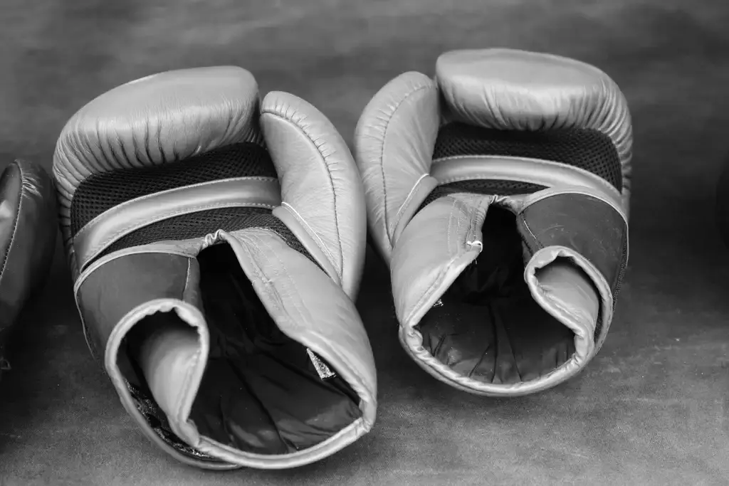 Dos guantes de boxeo apoyados en el suelo de la sala