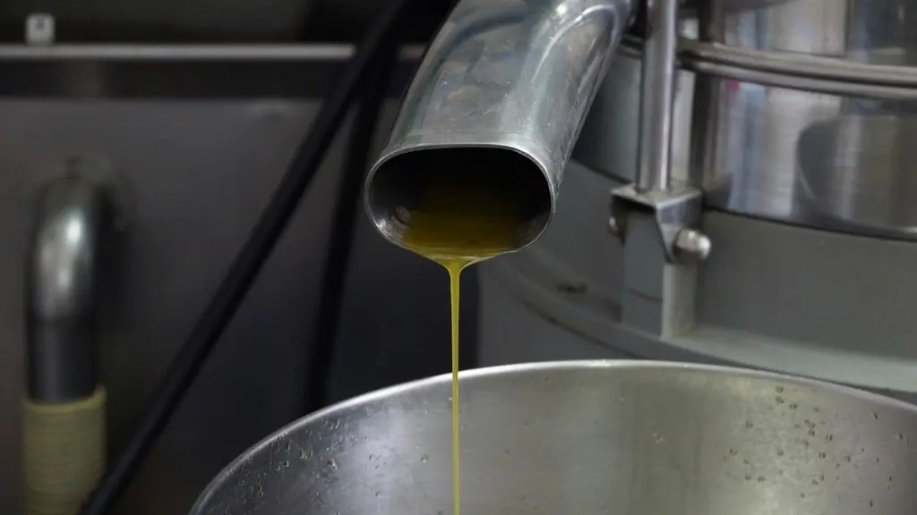 Chorro de aceite verde saliendo del tubo de acero del decánter a un cubo