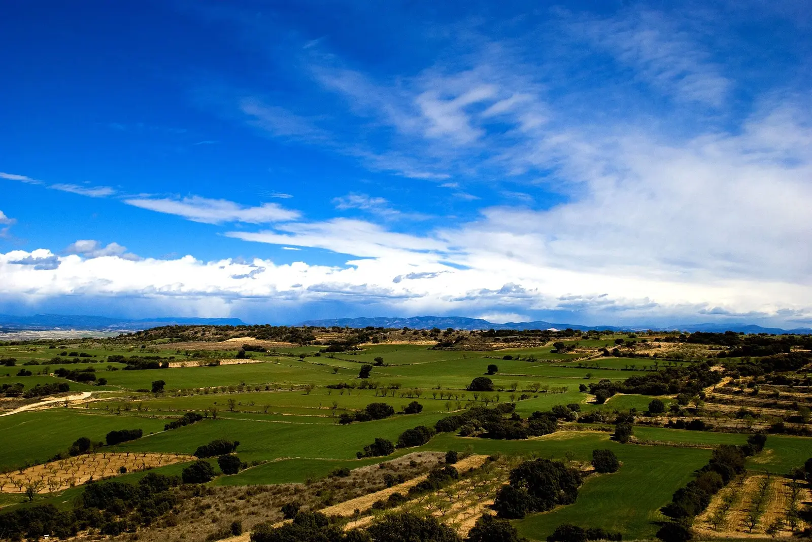 Campos y viñas del Somontano de Barbastro bajo un cielo azul con nubes