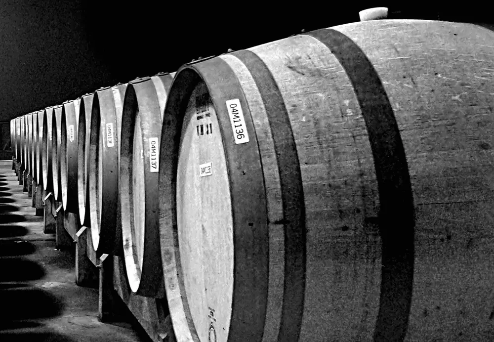 Barricas en fila en un calado, en blanco y negro