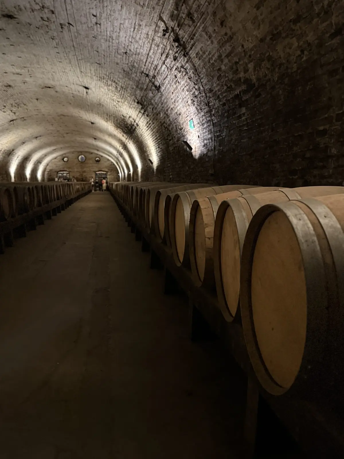 El calado de la bodega, con las barricas en fila bajo la bóveda