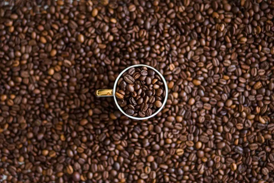 Granos de café tostado