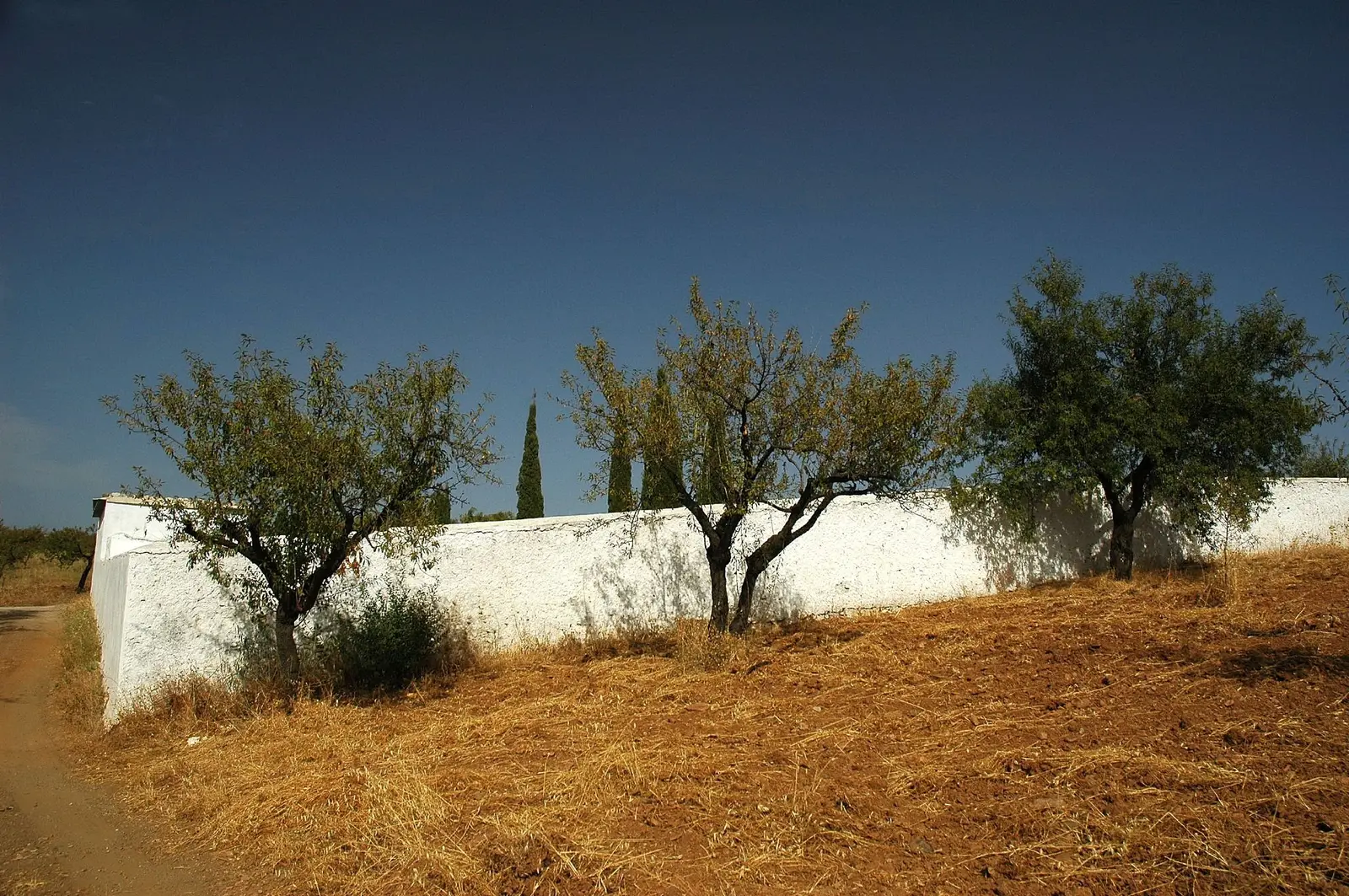 Tapia encalada y almendros junto a la piscina, con el cielo limpio de la sierra.