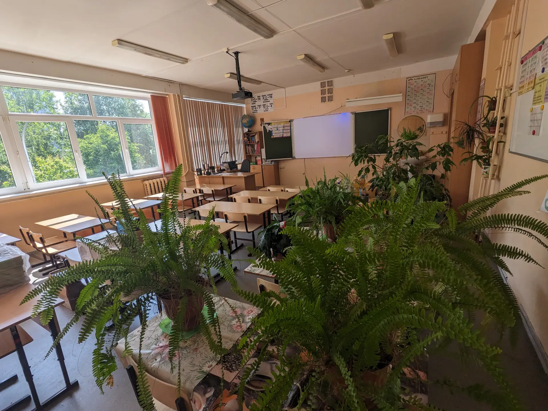 Aula vacía con pupitres y plantas, y la luz de la tarde entrando por las ventanas