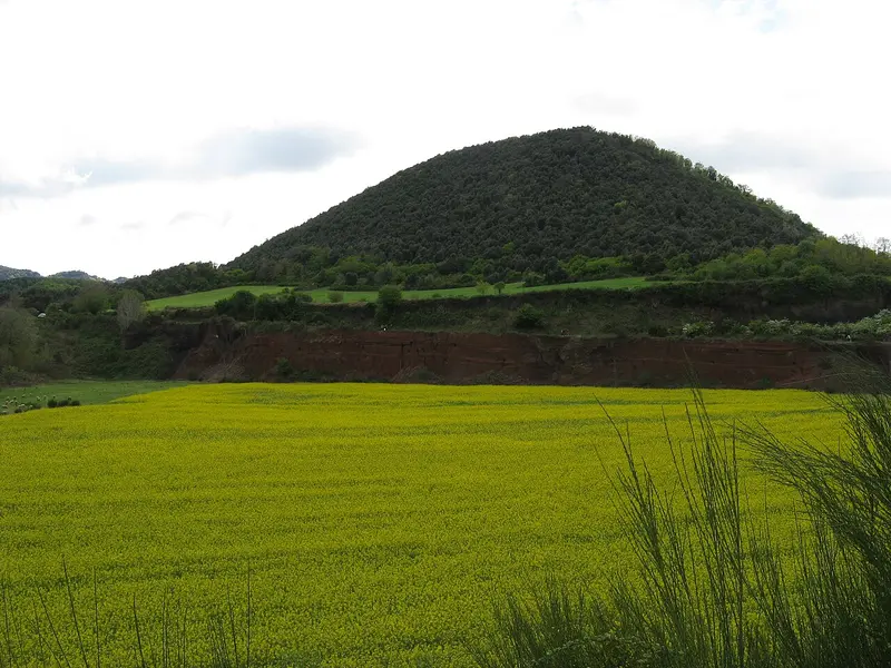 El cono del volcán Croscat cubierto de bosque, detrás de un campo verde.
