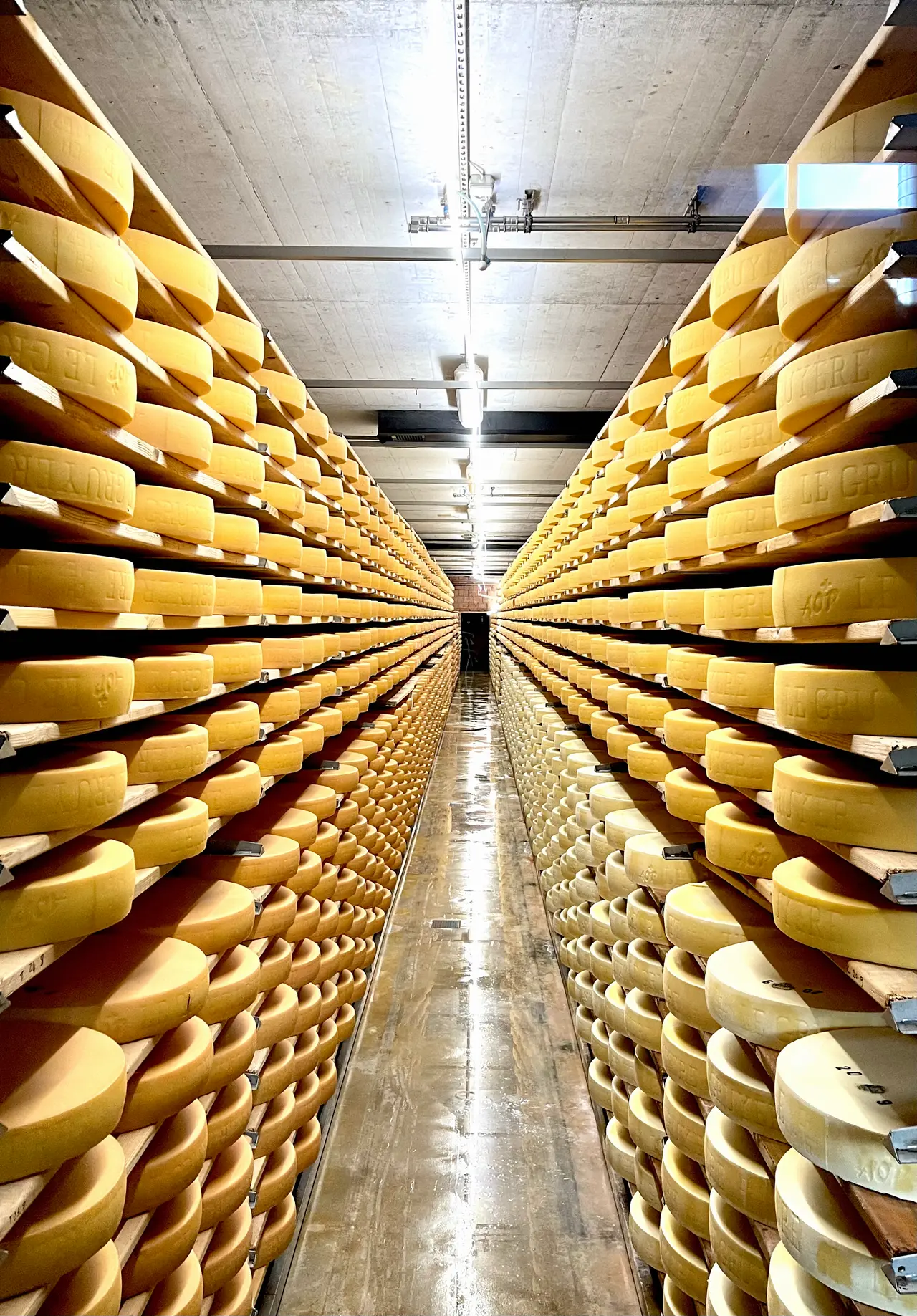 Quesos curándose en las estanterías de madera de una cava