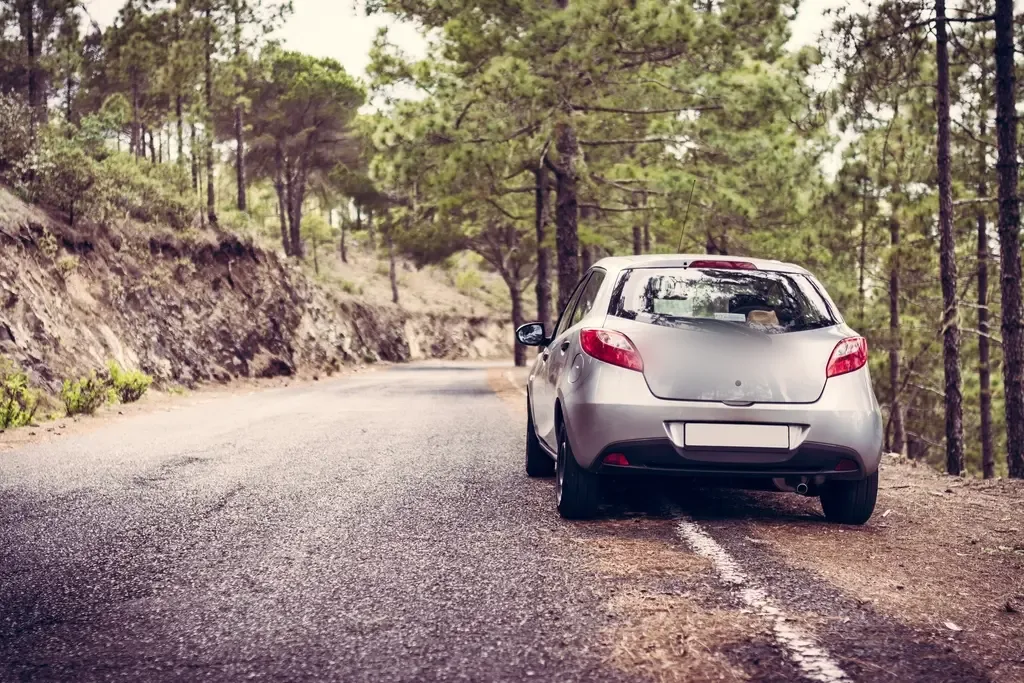 Coche plateado de cinco puertas parado en una carretera de montaña entre pinos, visto desde atrás