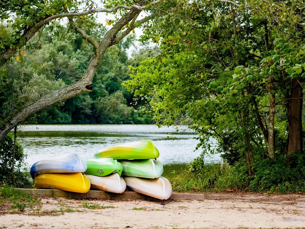 Kayaks de colores apilados boca abajo en la orilla, a la sombra de los árboles.