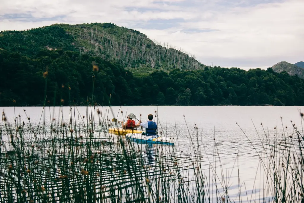 Un adulto y un niño reman en dos kayaks hacia el monte, vistos desde los juncos de la orilla.
