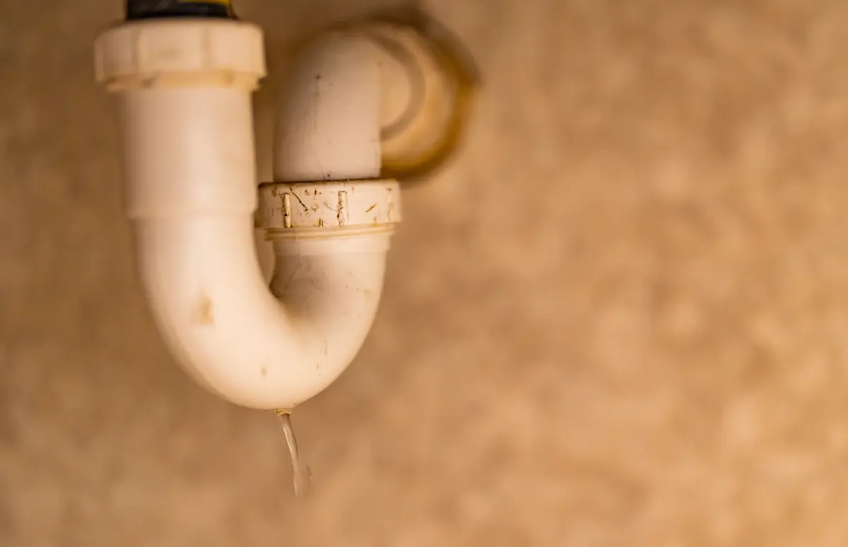 Sifón de PVC bajo un lavabo, con una gota de agua cayendo de la junta.