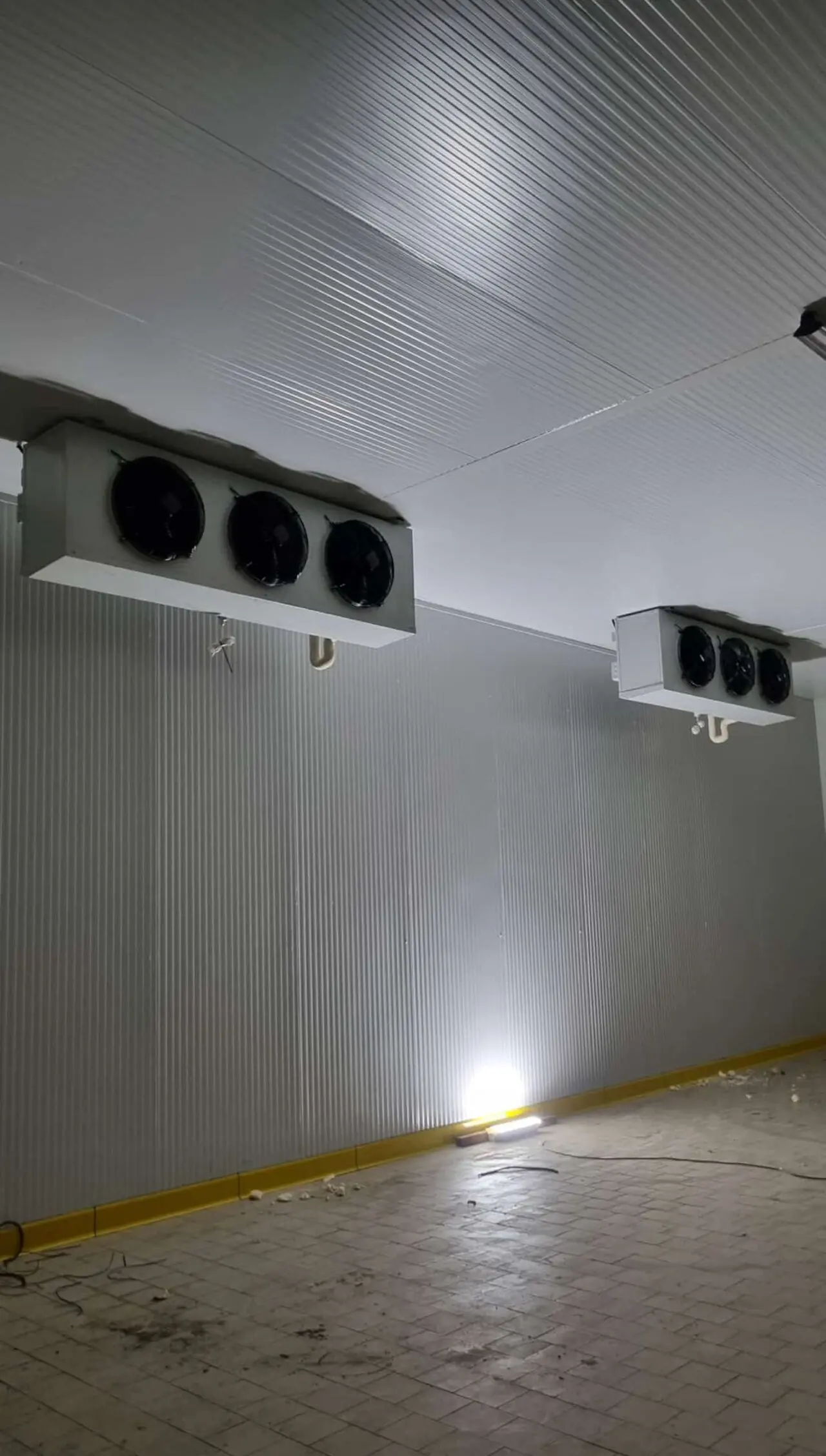 Cámara frigorífica nueva con dos evaporadores en el techo
