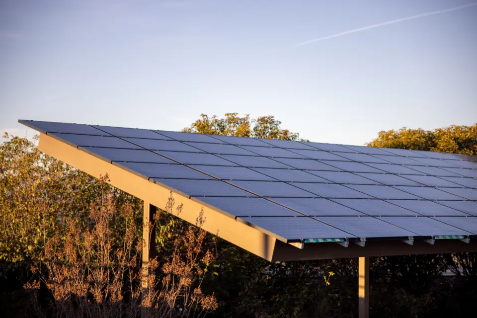 Marquesina con paneles solares entre árboles, al atardecer
