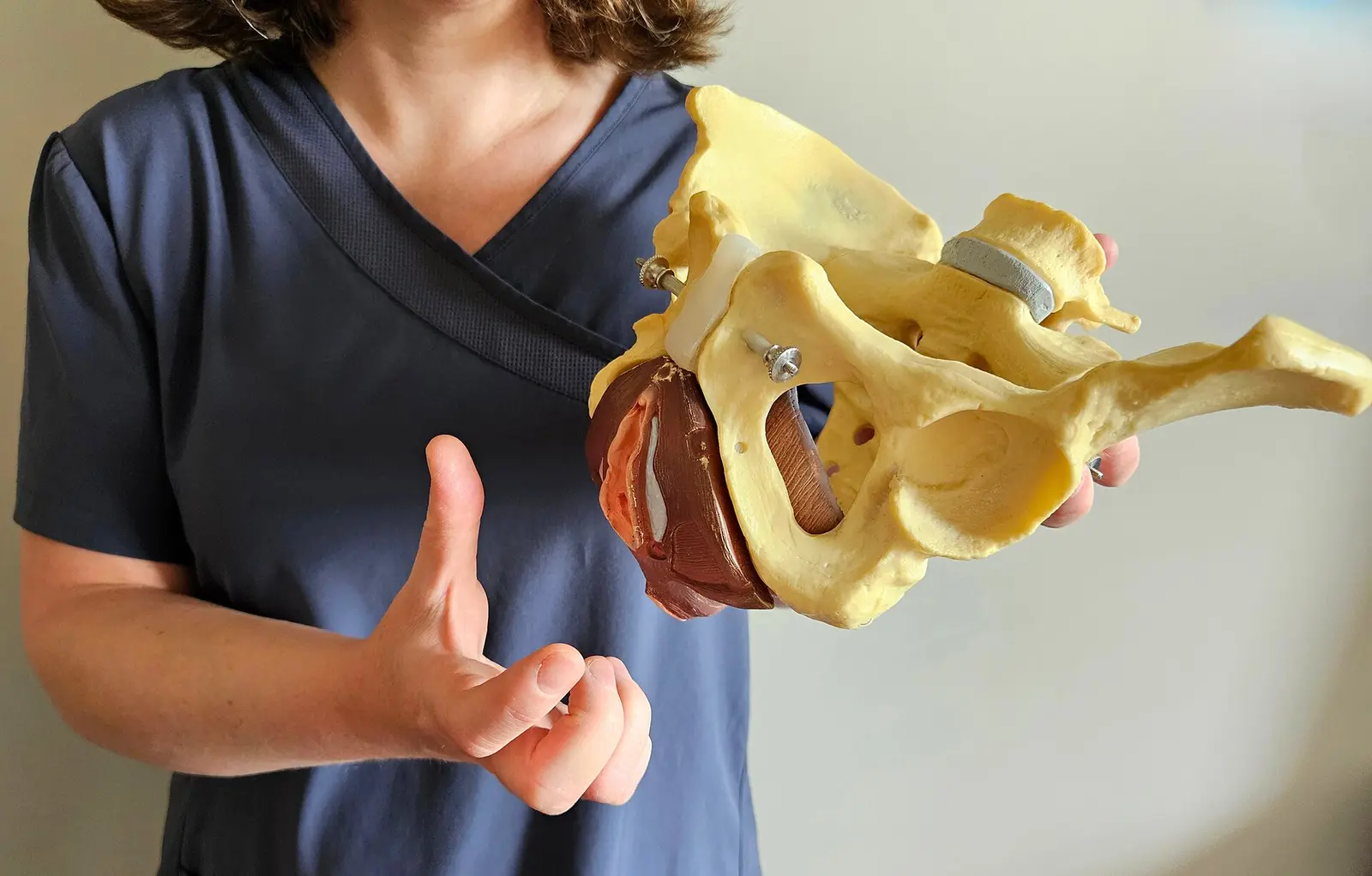 Fisioterapeuta con un modelo de pelvis en la mano, explicando el suelo pélvico