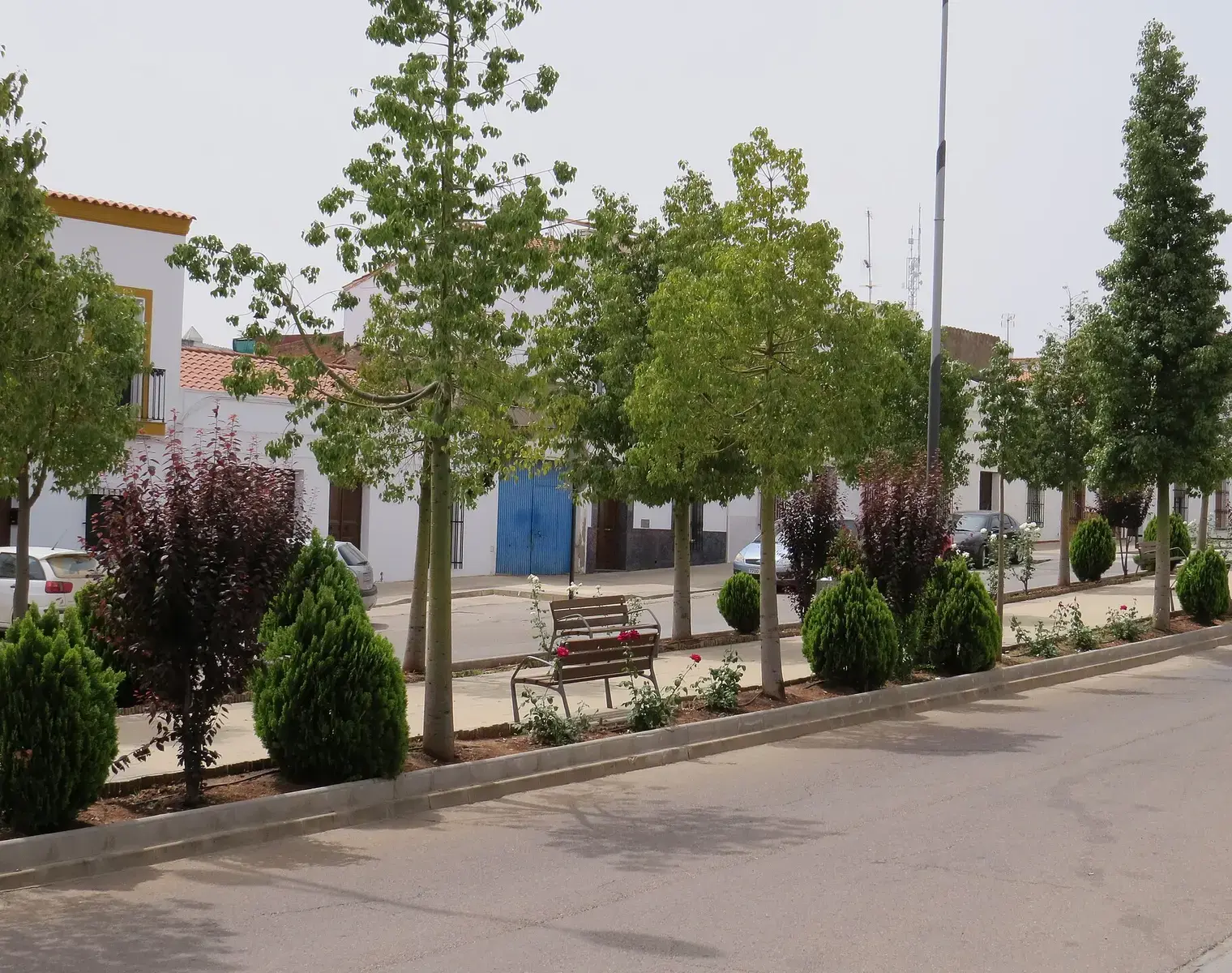 Calle ancha de Fuente del Maestre con casas blancas, árboles y bancos en el paseo