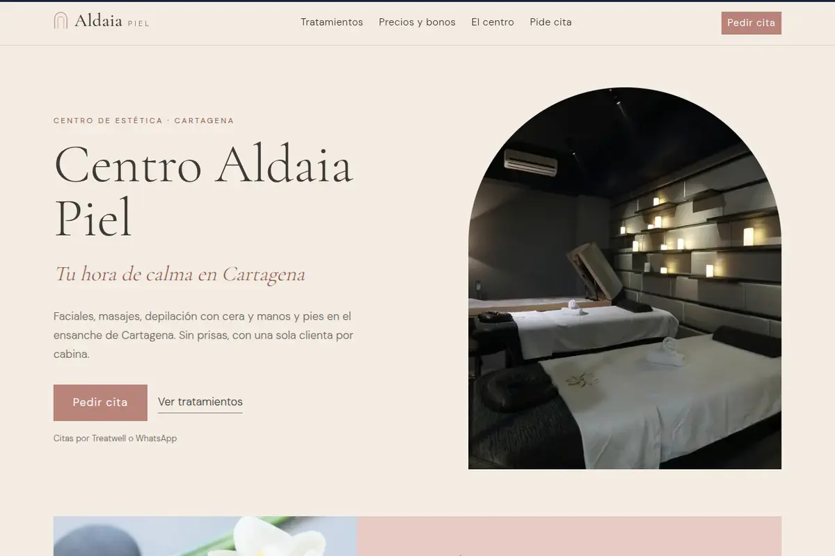 Portada de la web de ejemplo de Centro Aldaia Piel