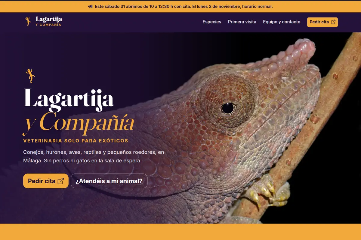 Portada de la web de ejemplo de Lagartija y Compañía